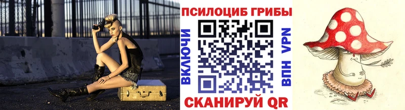 Псилоцибиновые грибы Psilocybe  Верхняя Пышма 